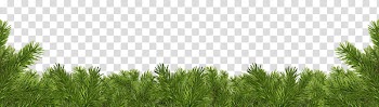 Christmas corners, green and white abstract painting transparent background PNG clipart
