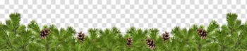 Christmas corners, green leaves transparent background PNG clipart