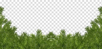 Christmas corners, green pine tree leaves illustration transparent background PNG clipart