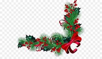 Christmas Day, Borders And Frames, Christmas Decoration, Colorado Spruce, Oregon Pine PNG