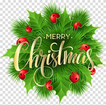 Christmas decoration Christmas ornament , Christmas greenery creative small red berries transparent background PNG clipart