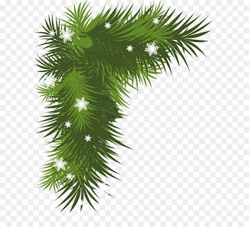 Christmas decoration Christmas tree Clip art - Snowy Pine Branch PNG Picture 