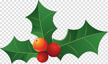 Christmas decoration Christmas tree Leaf, green leaves transparent background PNG clipart