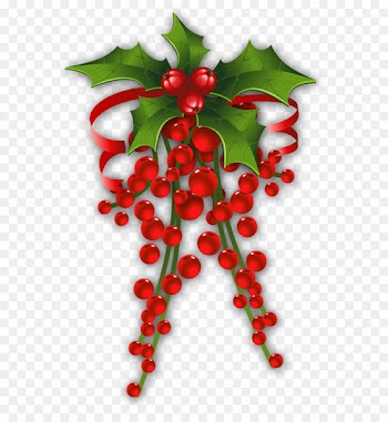 Christmas decoration Mistletoe Clip art - Mistletoe Decor 