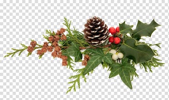Christmas decoration transparent background PNG clipart