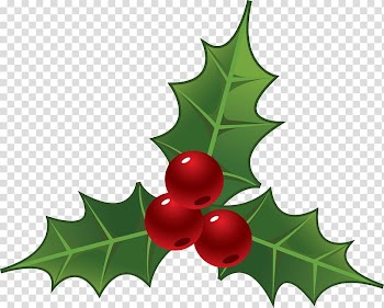 Christmas Drawing Nochebuena , cherry tree transparent background PNG clipart