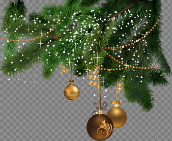 Christmas Fir-Tree Png Image