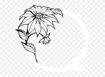 Christmas Flower Clip Art - Elegant Black And White Borders