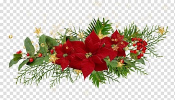 Christmas Flower Desktop Poinsettia, noel transparent background PNG clipart