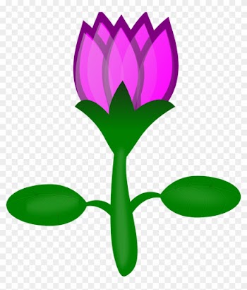 Christmas Flower Outline Vector Black White Lotus Flowers - Cartoon Flowers No Background