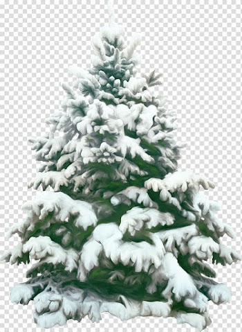 Christmas Frames, fir-trees transparent background PNG clipart