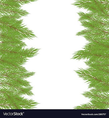 Christmas fur tree illustration vector image