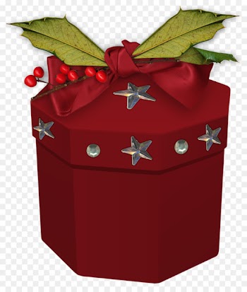 Christmas gift Christmas Day Birthday New Year - gift 