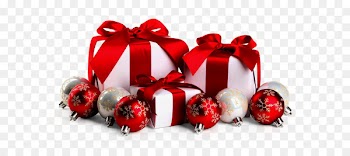 Christmas gift Christmas gift Holiday Rectoria de Salitja - christmas 