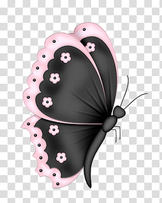 Christmas gift special, black and pink common mormon transparent background PNG clipart