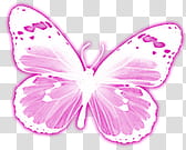 Christmas gift special, pink butterfly transparent background PNG clipart
