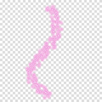 Christmas gift special, pink floral art transparent background PNG clipart