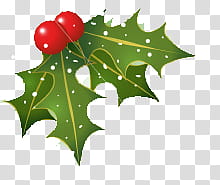 Christmas, green leaf Christmas transparent background PNG clipart