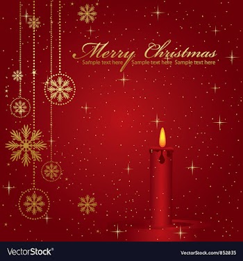 Christmas greeting card vector image