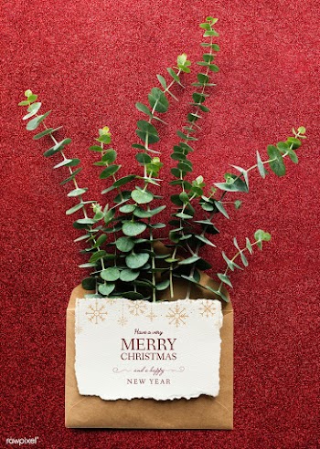 Christmas holiday greeting design mockup | Free stock psd mockup - 516446