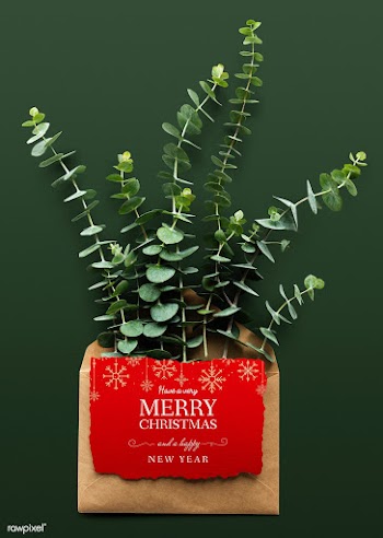 Christmas holiday greeting design mockup | Free stock psd mockup - 516468