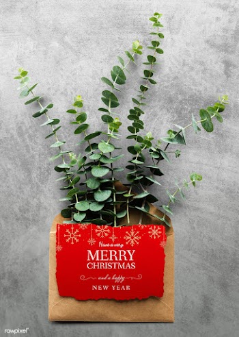 Christmas holiday greeting design mockup | Free stock psd mockup - 516472