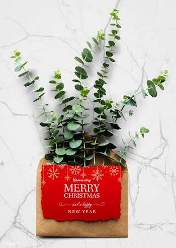 Christmas holiday greeting mockup with leaves | Free stock psd mockup - 516376