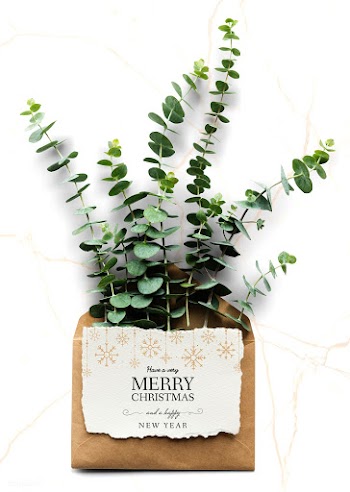 Christmas holiday greeting mockup with leaves | Free stock psd mockup - 516387
