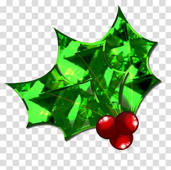 Christmas Hollies , green and black LED light transparent background PNG clipart