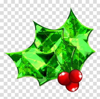 Christmas Hollies , green and black LED light transparent background PNG clipart