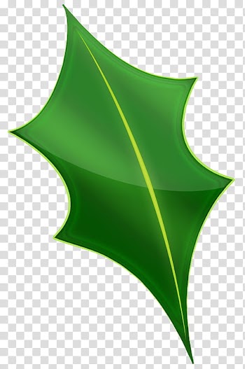 Christmas Hollies , green leaf animated illustration transparent background PNG clipart