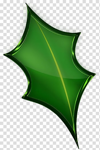 Christmas Hollies , green leaf logo illustration transparent background PNG clipart