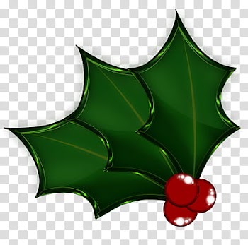 Christmas Hollies , red and black LED light transparent background PNG clipart
