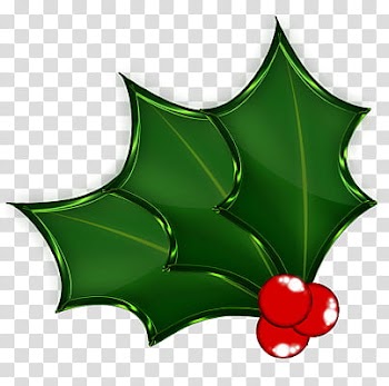 Christmas Hollies , red and black LED light transparent background PNG clipart