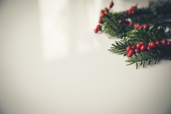 Christmas Holly Beside White Painting Concrete Wall