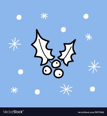 christmas holly ilex plant - color card