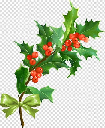 Christmas Holly Leaf, Creative Christmas transparent background PNG clipart