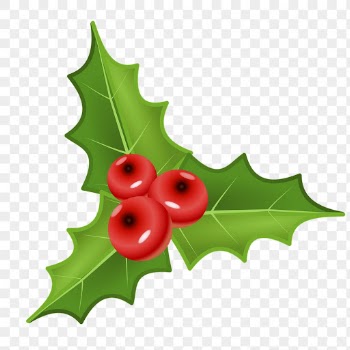 Christmas holly png sticker, transparent | Free PNG - rawpixel