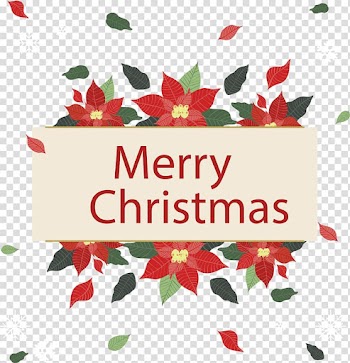 Christmas Leaf Euclidean , Colorful leaves falling in winter transparent background PNG clipart