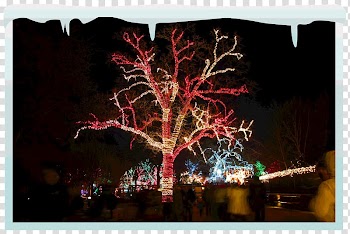Christmas lights Lighting Tree, light transparent background PNG clipart