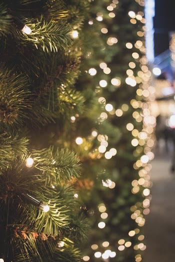          Christmas Lights Tree Bokeh Free Photo     