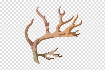 Christmas Materials , antler transparent background PNG clipart
