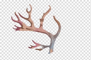 Christmas Materials , brown and gray antler illustration transparent background PNG clipart