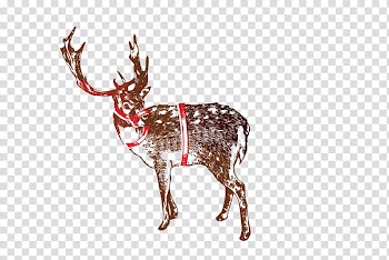 Christmas Materials , brown deer art transparent background PNG clipart