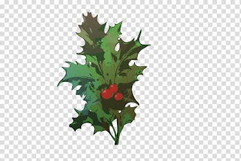 Christmas Materials , red mistletoe illustration transparent background PNG clipart