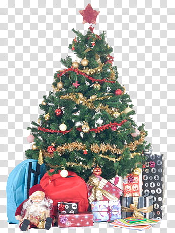 CHRISTMAS MEGA, green Christmas tree illustration transparent background PNG clipart