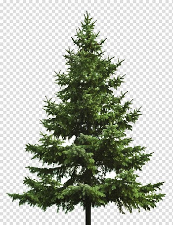 CHRISTMAS MEGA, green Christmas tree illustration transparent background PNG clipart
