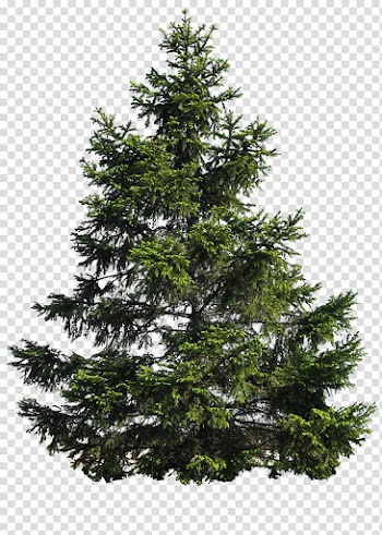 CHRISTMAS MEGA, green christmas tree transparent background PNG clipart