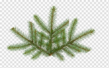 CHRISTMAS MEGA, green leaf transparent background PNG clipart