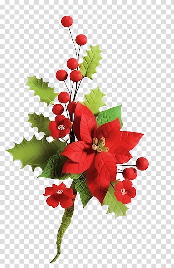 CHRISTMAS MEGA, red poinsettia and holly berries transparent background PNG clipart
